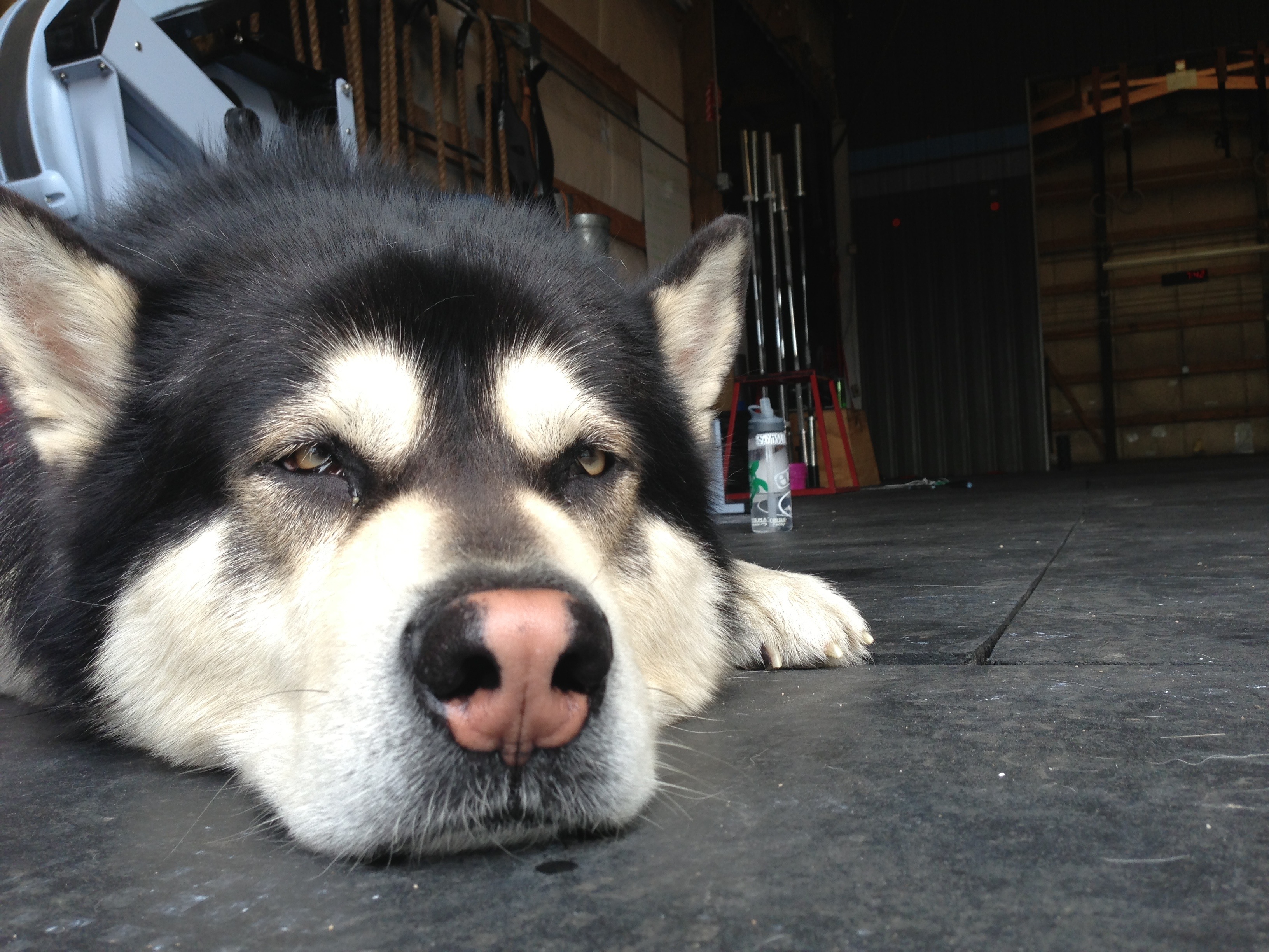 20130519-033242.jpg
