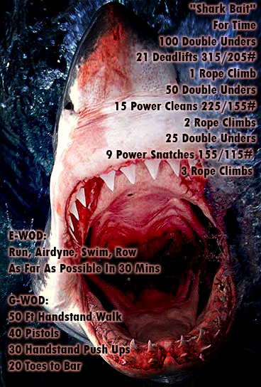 this-is-a-angry-shark-from-greenland-n3-greenland-greenland+1152_13002977558-tpfil02aw-12422