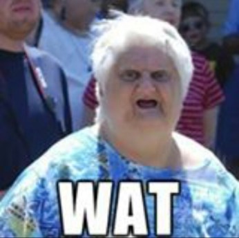 Wat-Meme-Old-Lady-Face-02.jpg