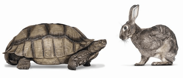 trotoise-hare.png