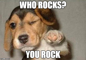 who-rocks-you-rock_0.jpg