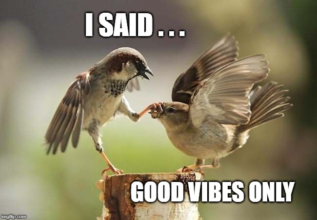 Vibes